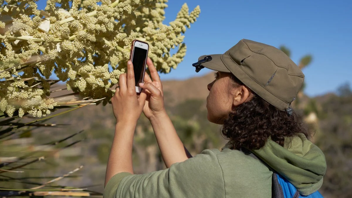 City Nature Challenge 2020: Let's Do It, Austin!