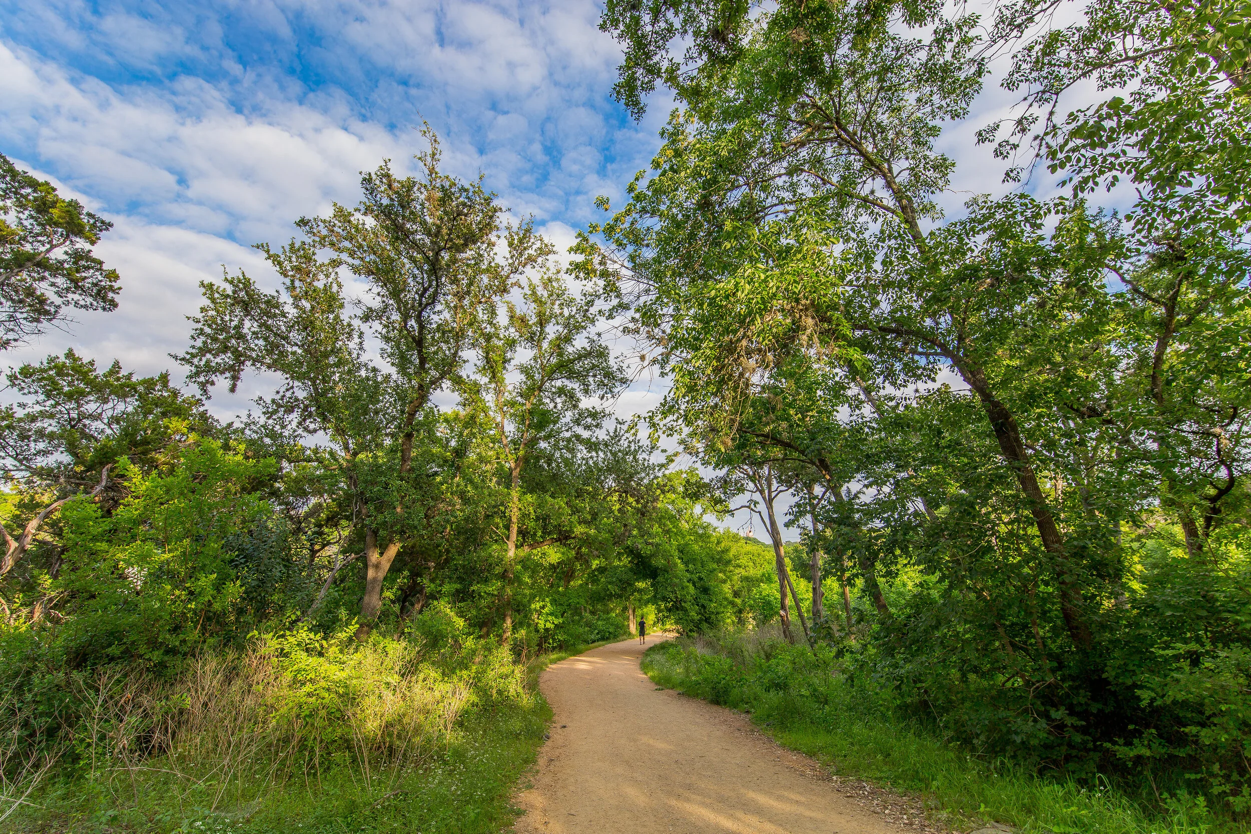 Urban Parks and Biodiversity in the Time of COVID
