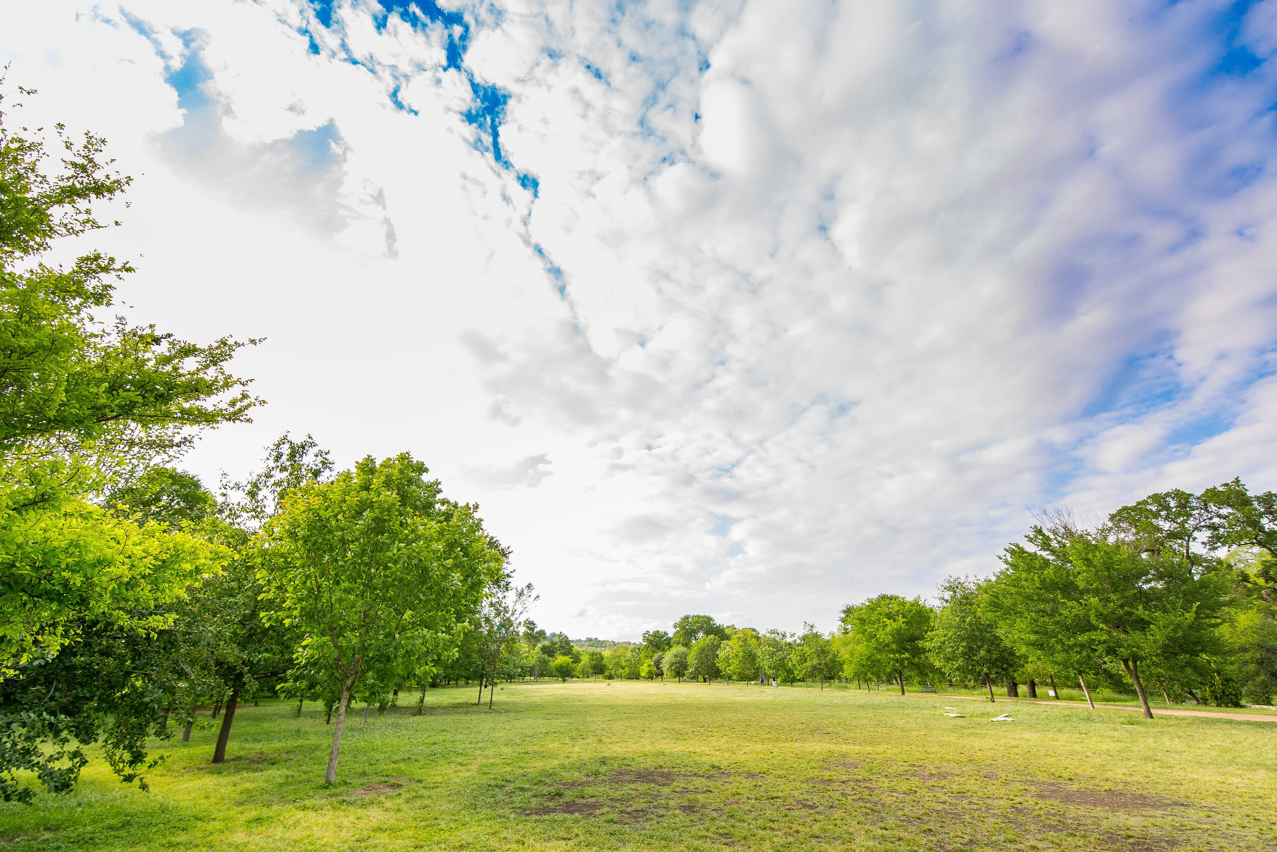 Exploring the Interpretive Plan: Theme 3