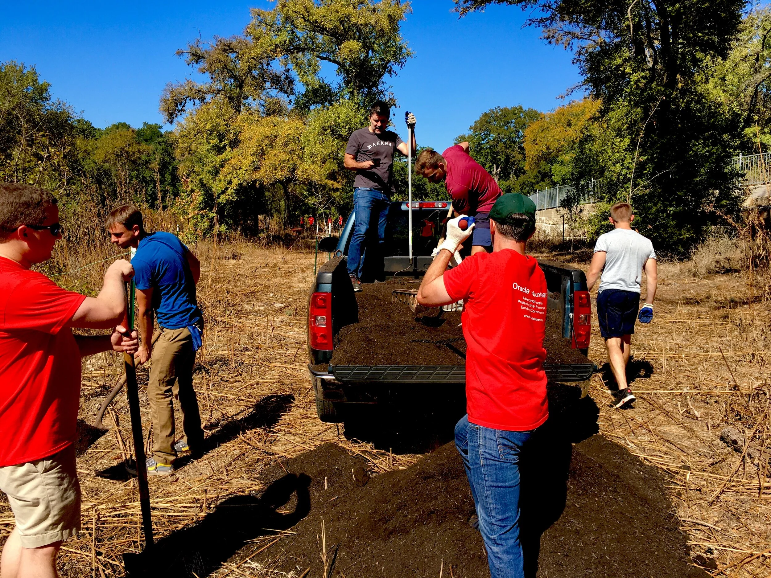 Volunteers unloading and spreading compost over the cut-down ragweed stalks in the meadow