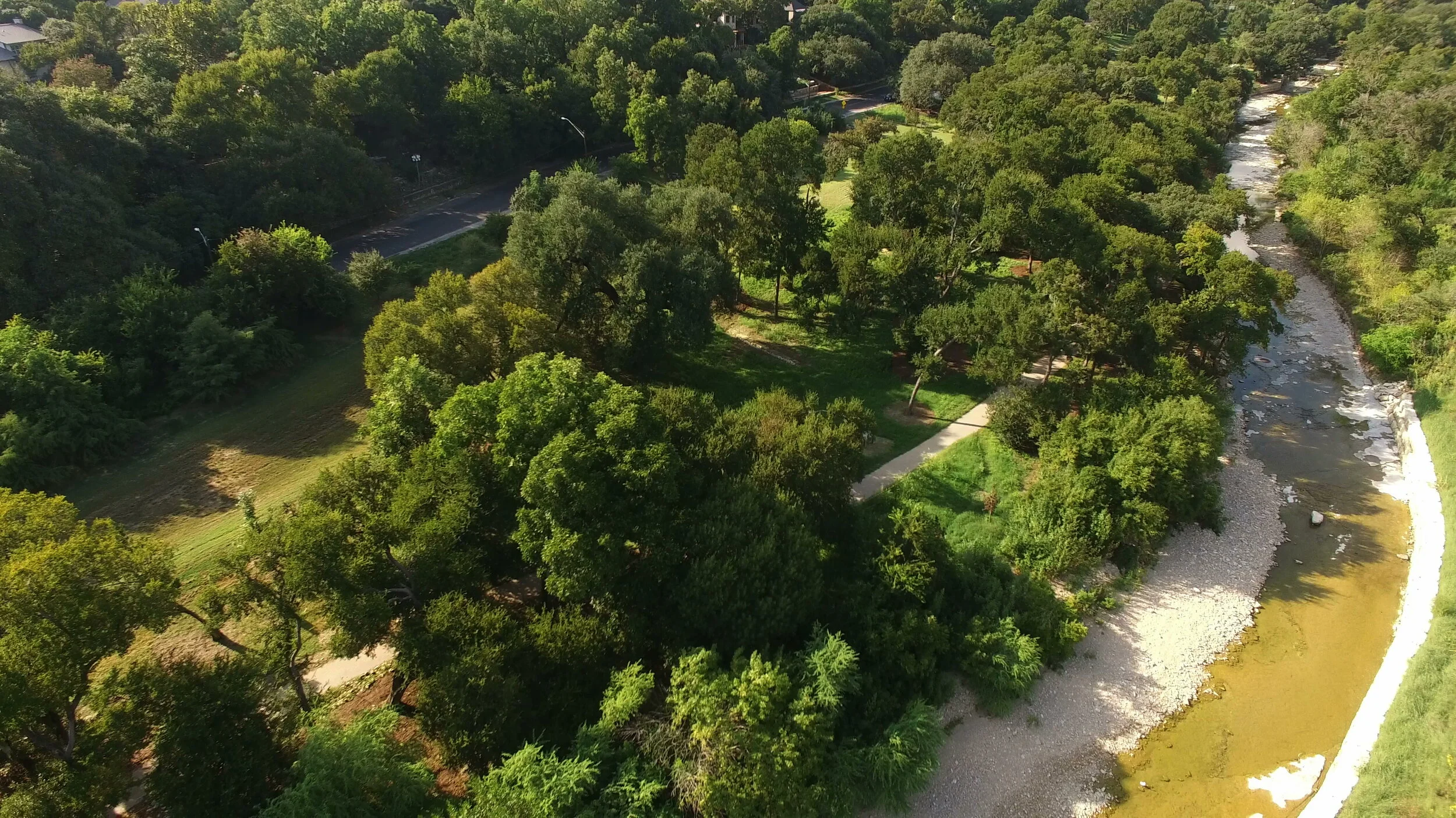 About Pease — Pease Park Conservancy