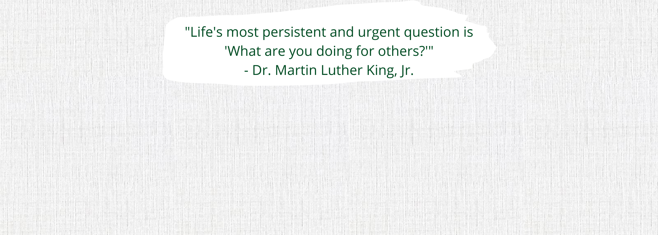 MLK Day Food Drive