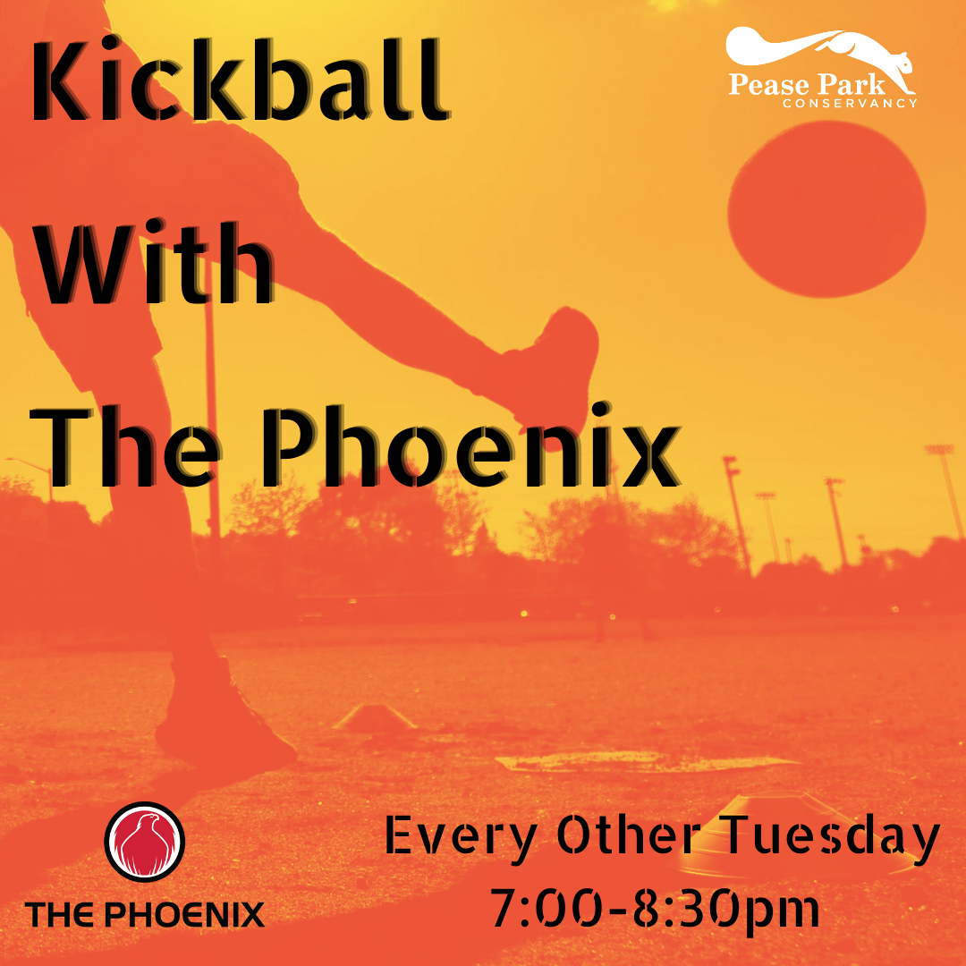 Kickball with The Phoenix - A Sober Active Community