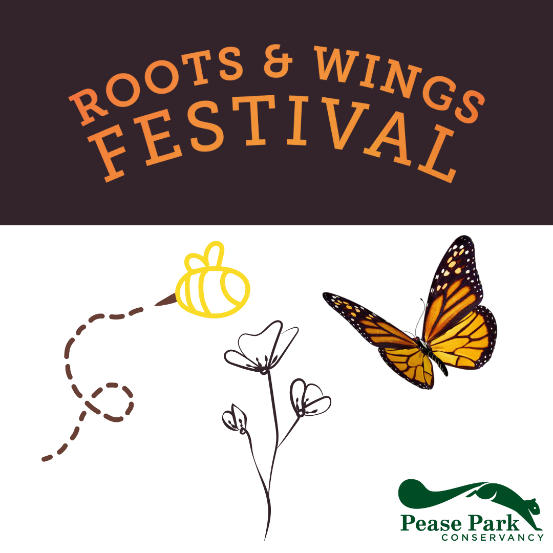 Pease Park Pollinator Planting Party: A Roots & Wings Festival Event