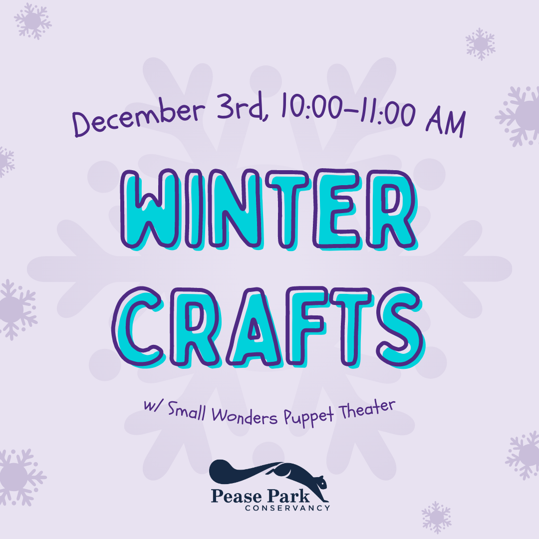 Winter Crafts w/ Small Wonders Puppet Theater