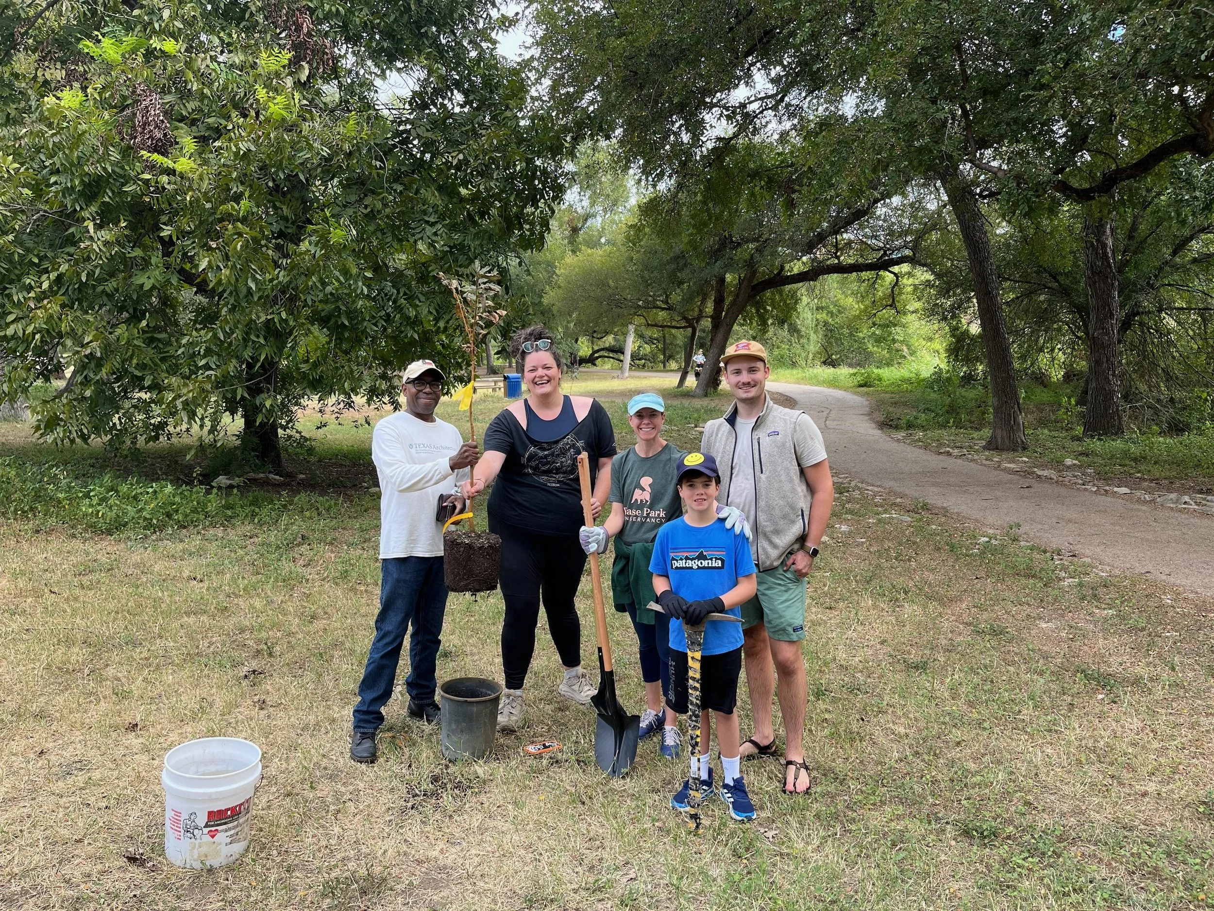 50 árboles, por favor