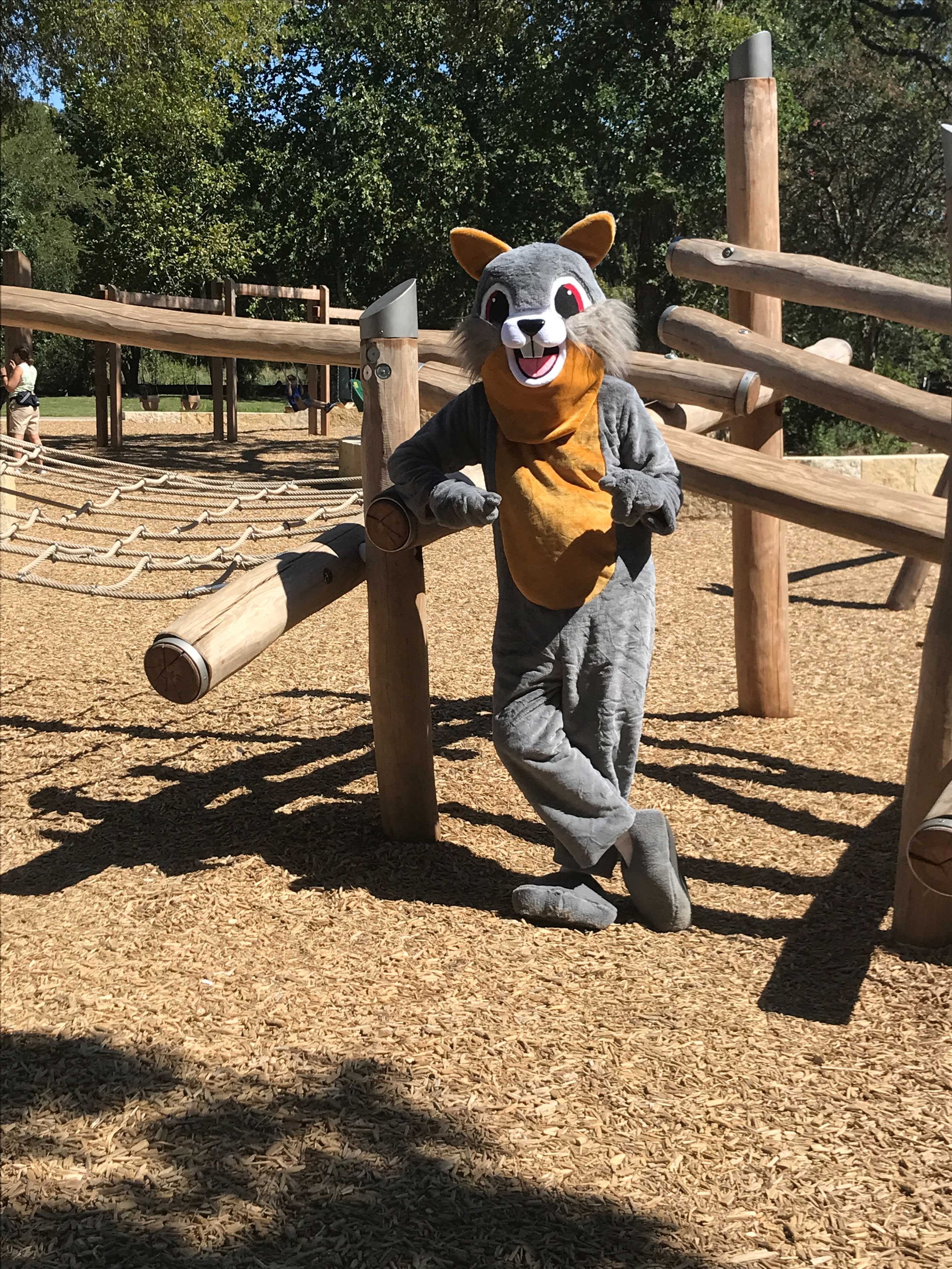  PAX  Pease Park Conservancy Mascot   PAX is our friendly neighborhood squirrel and a resident of Pease Park. Pax values sustainability, environmental stewardship, and is an ambassador for accessibility to the outdoors. As an eastern grey squirrel, P