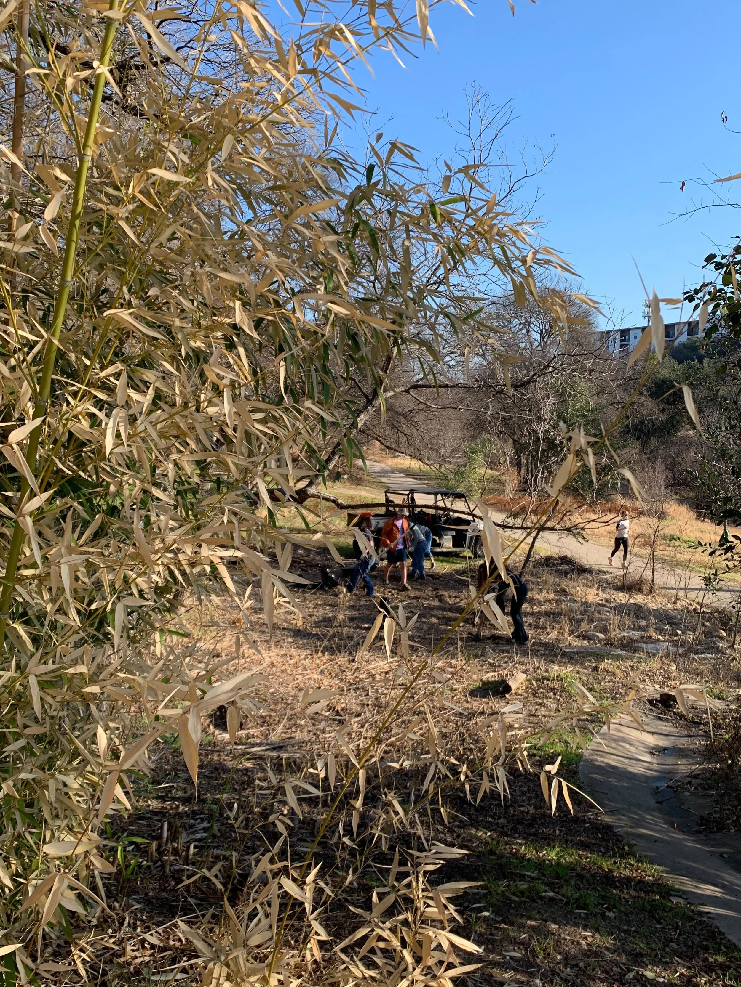 Pease Park Conservancy