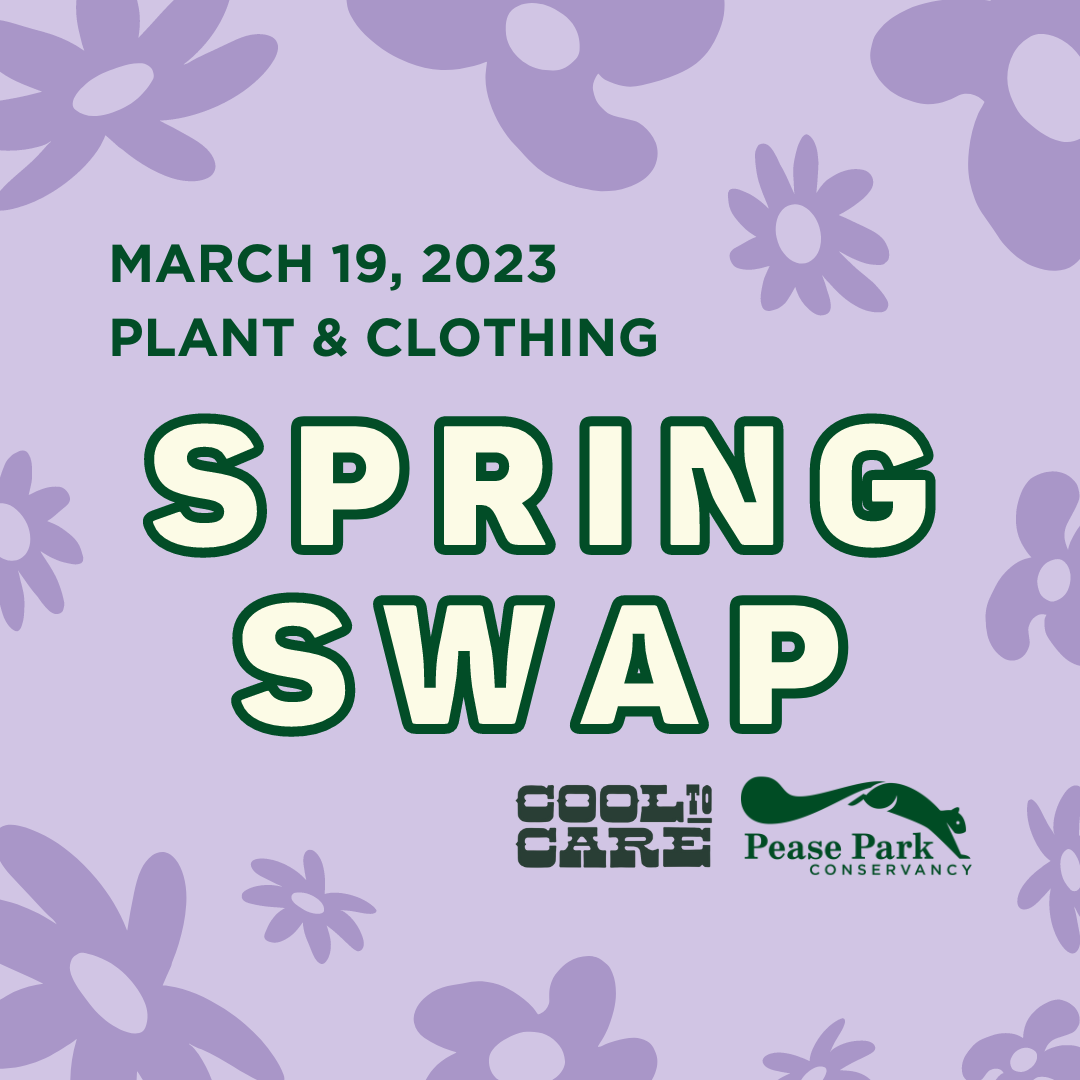 Spring Plant &amp; Clothing Swap