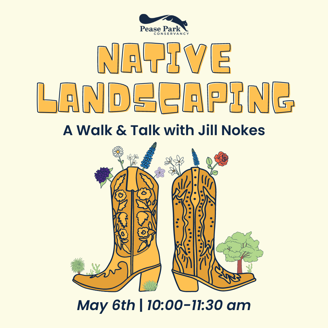 Native Landscaping Walk & Talk