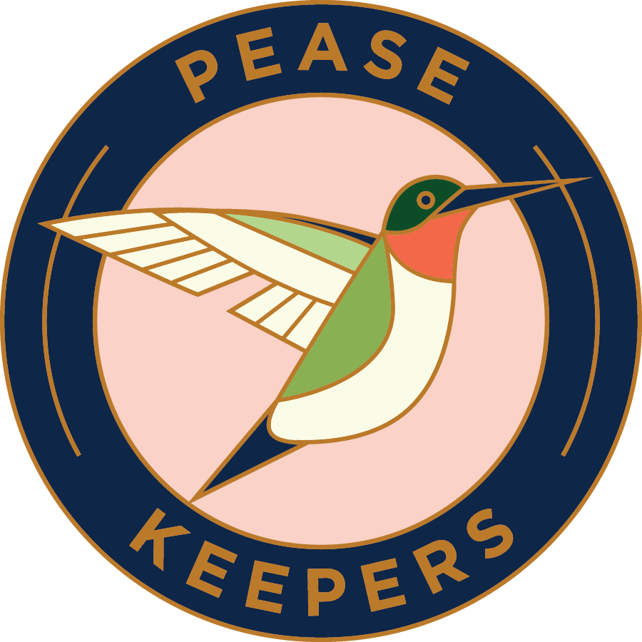 19PPC026_PinHummingbird-01.png