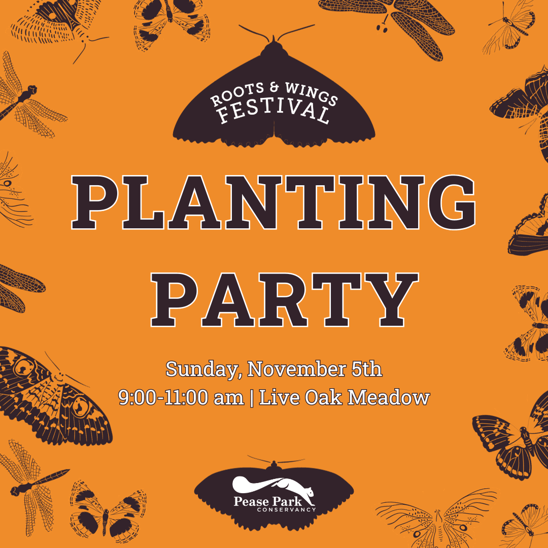 General Events — Pease Park Conservancy