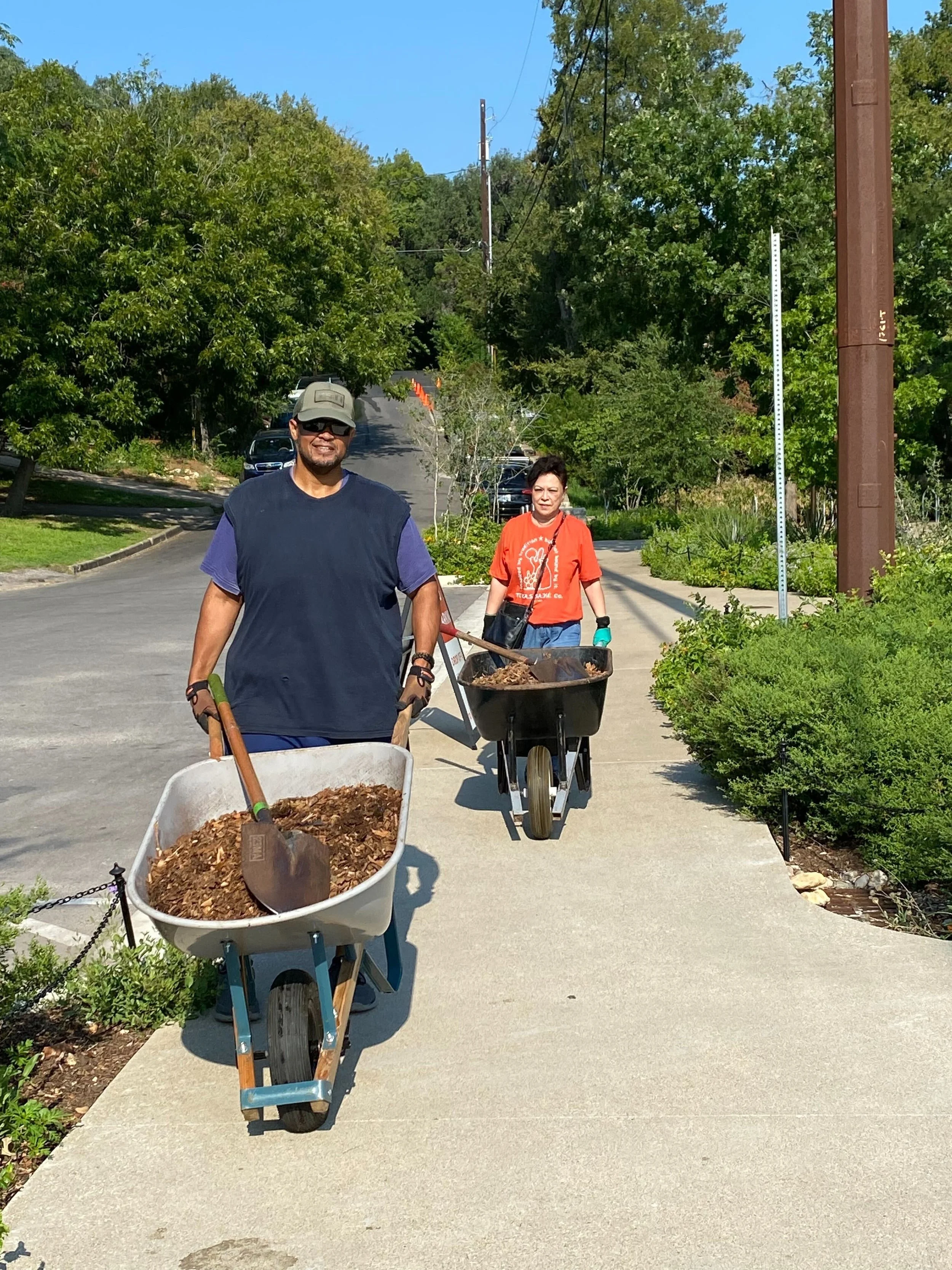 Conservation In The Park — Pease Park Conservancy