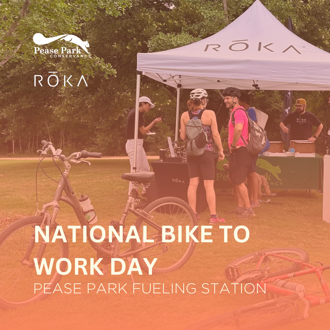 National Bike to Work Day (1).png
