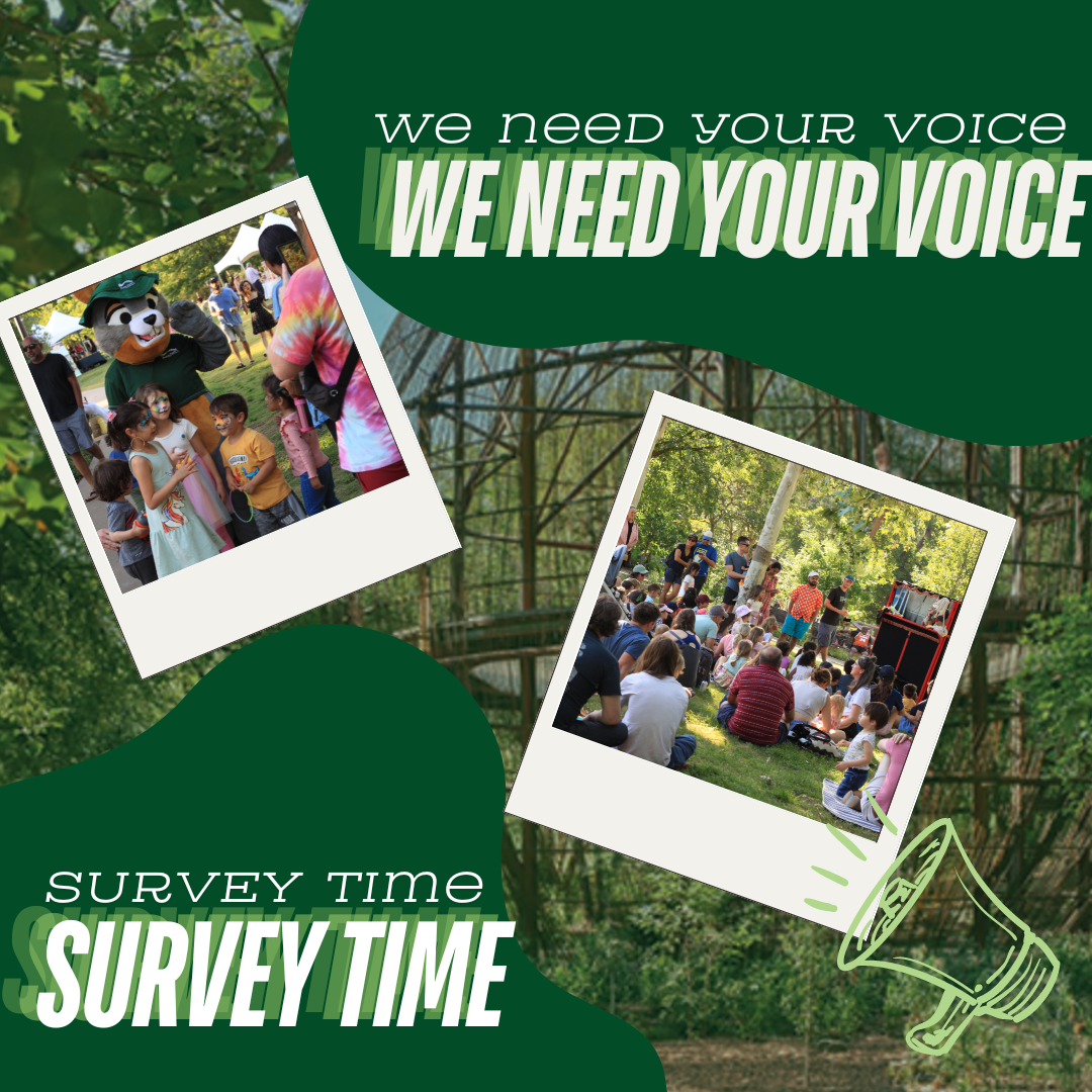 Necesitamos su opinión (para tener la oportunidad de ganar)