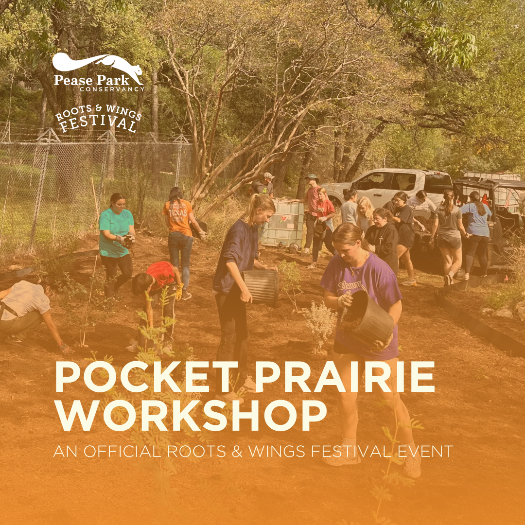 Pocket Prairie Workshop: A Roots & Wings Festival Event