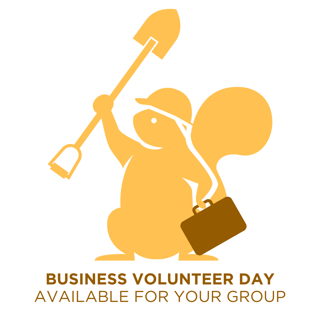 Available For Your Group