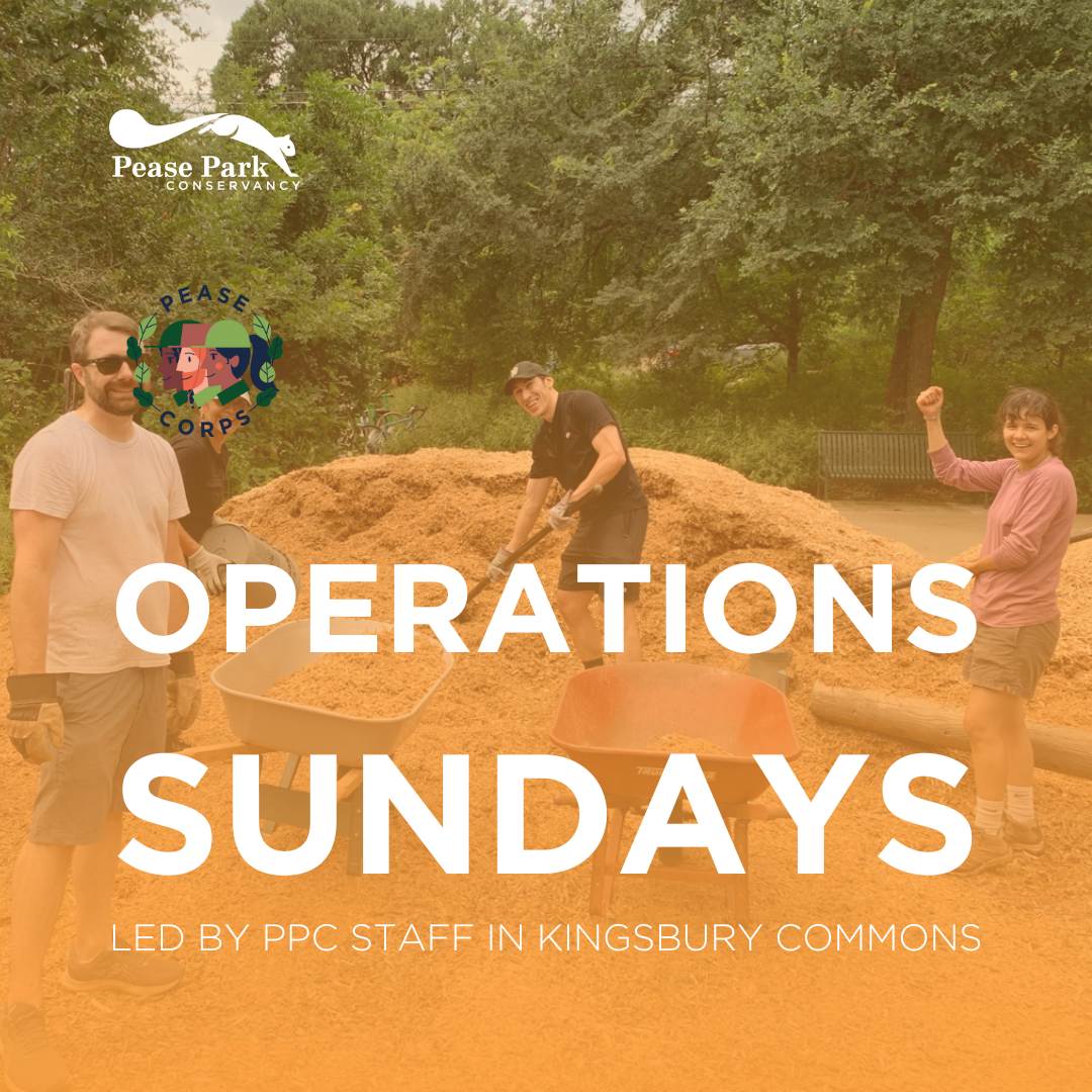 Operations Sunday in Kingsbury Commons
