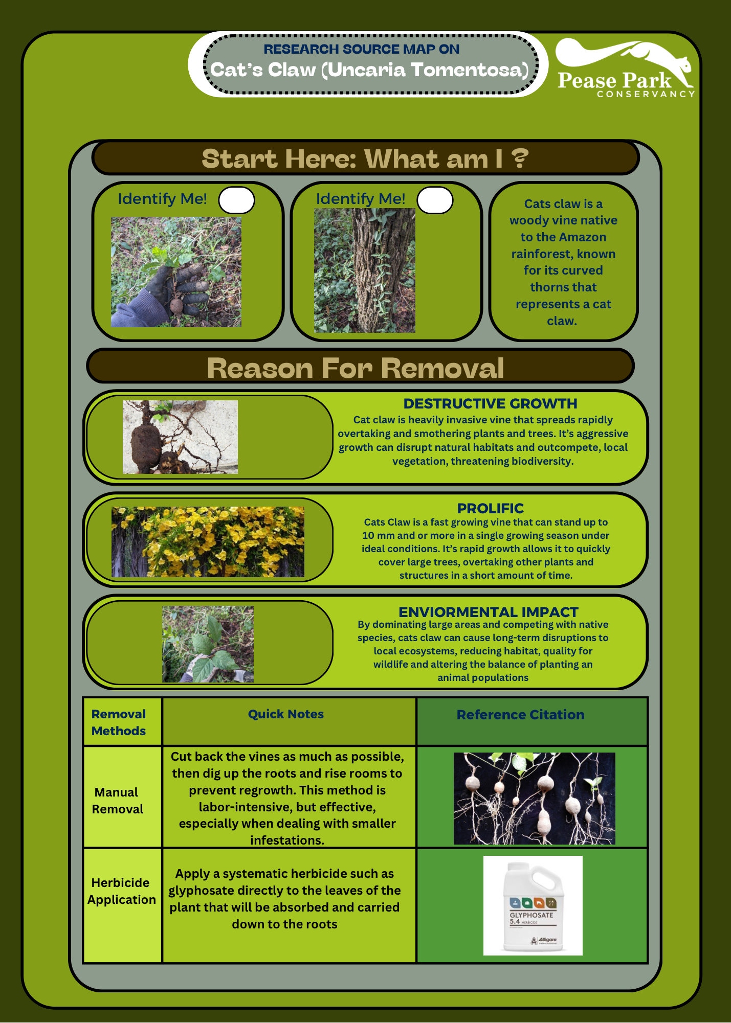 Cat's Claw ID Sheet.PNG
