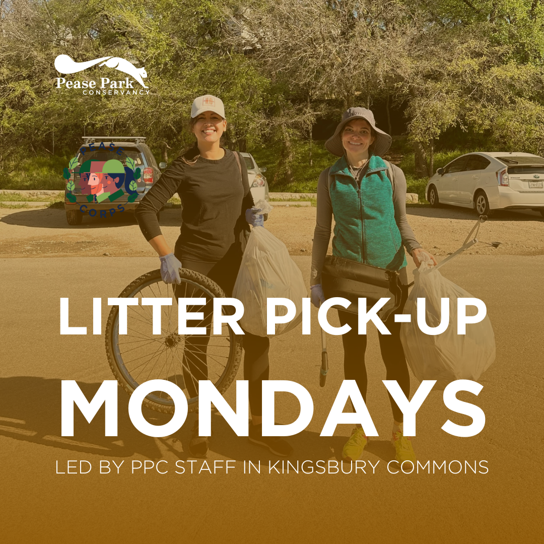 ๐ Litter Pick-Up Mondays in Kingsbury Commons