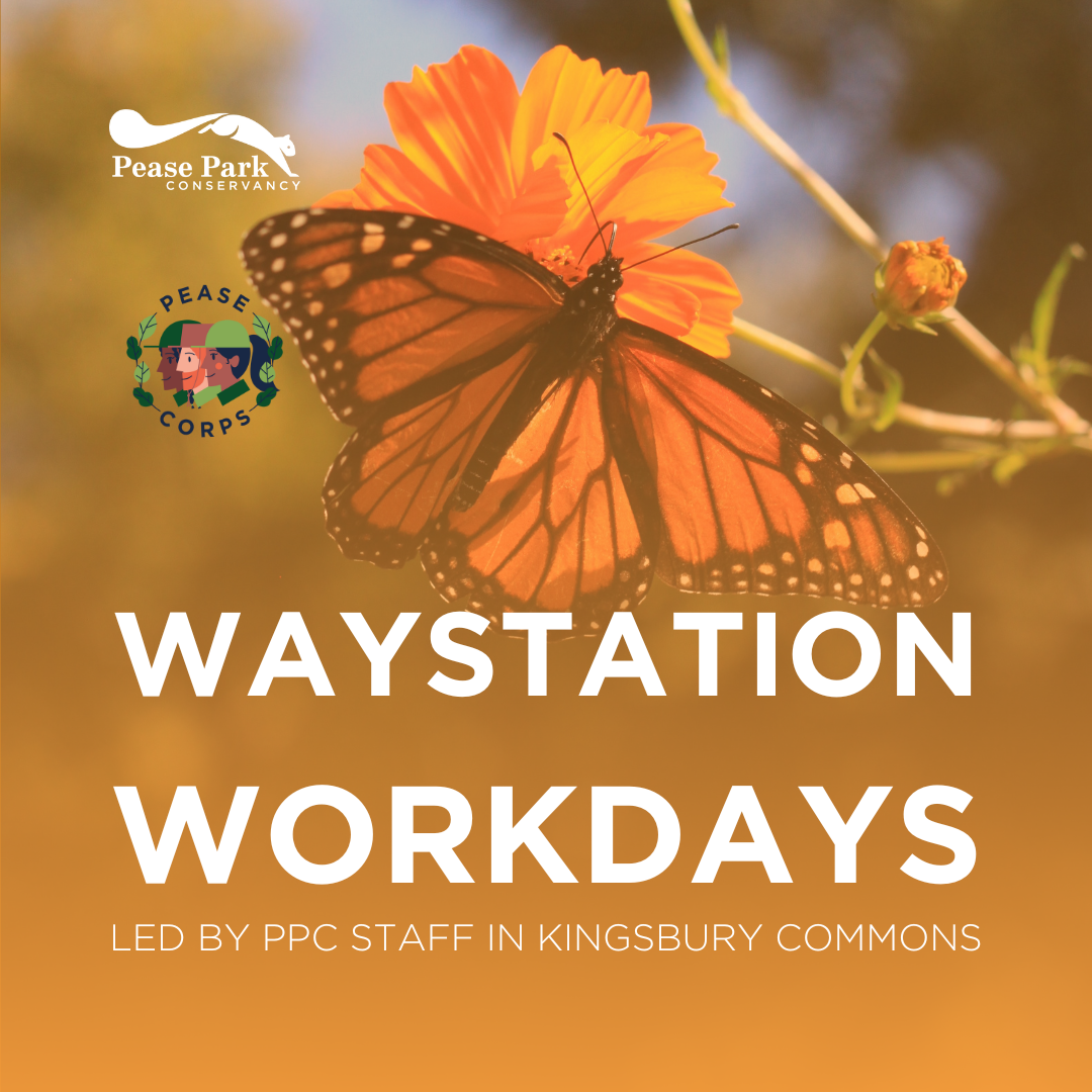 ๐ Tuesday Waystation Workdays in Kingsbury Commons