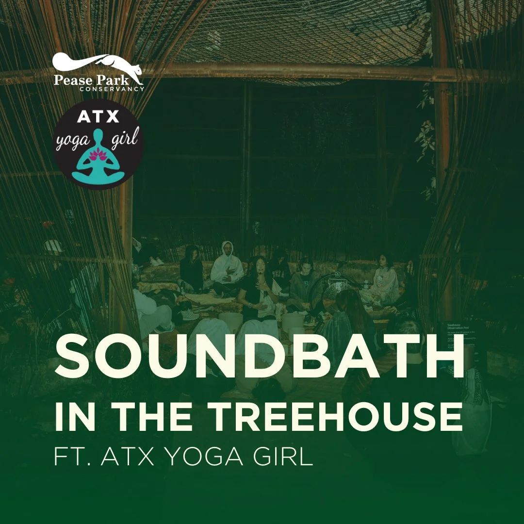 soundbath.jpeg