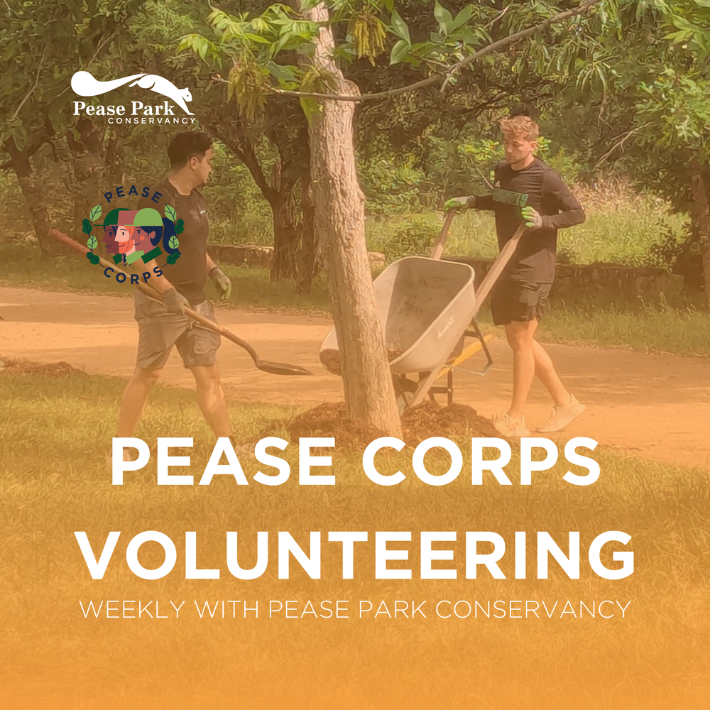 peasecorps.png