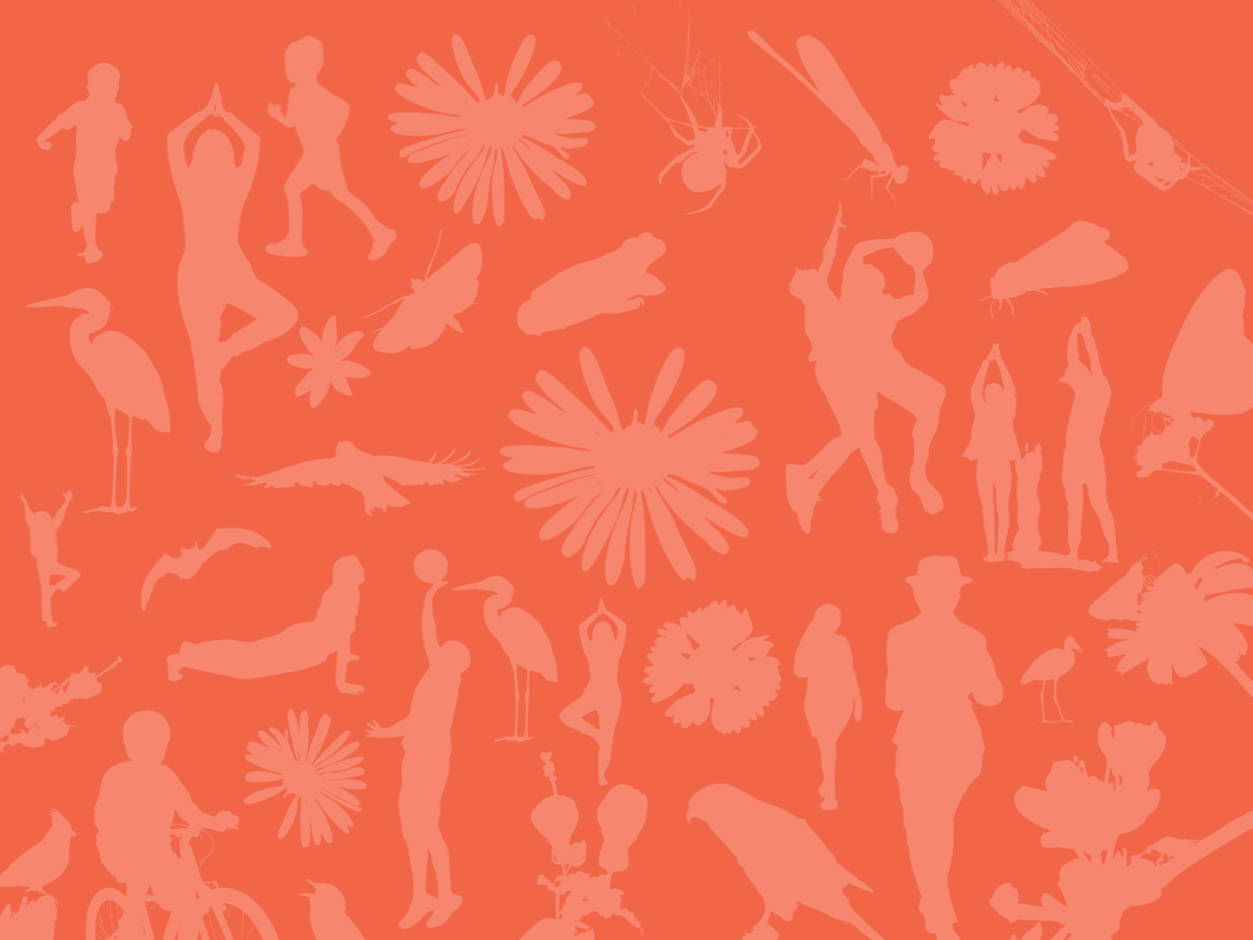 🧘‍♀️ Don't Drop the Ball on Your Wellness Goals 🏀