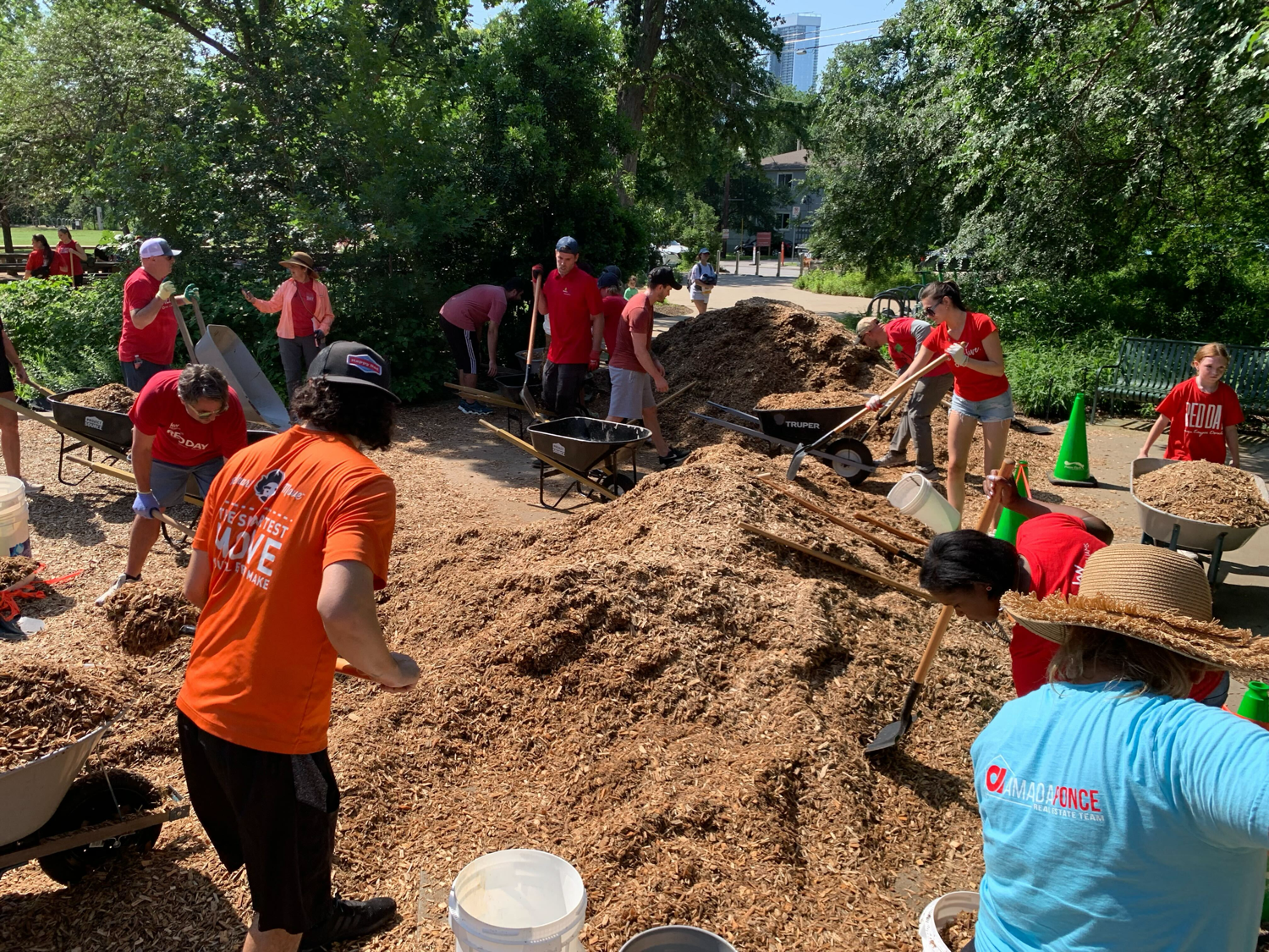 Volunteer Opportunities 🌳