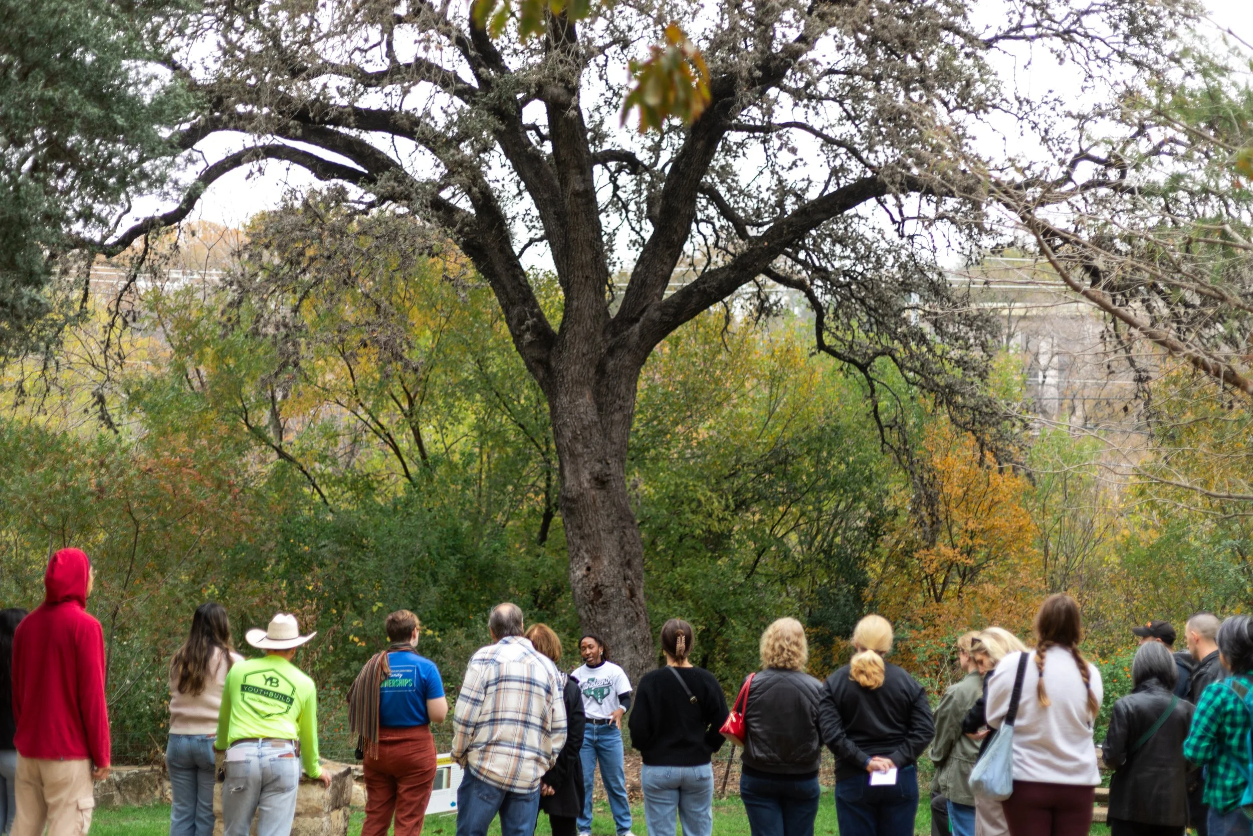Lives Remembered: Join a Pease Park History Tour this Month or Online