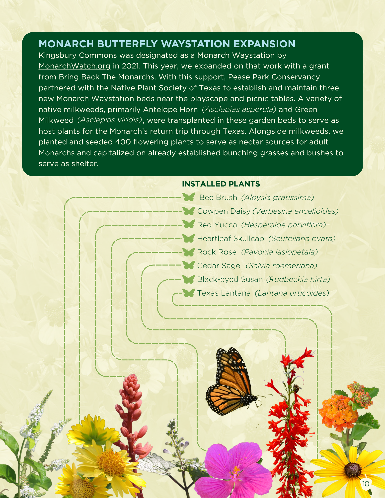 10 Nature Spread.png