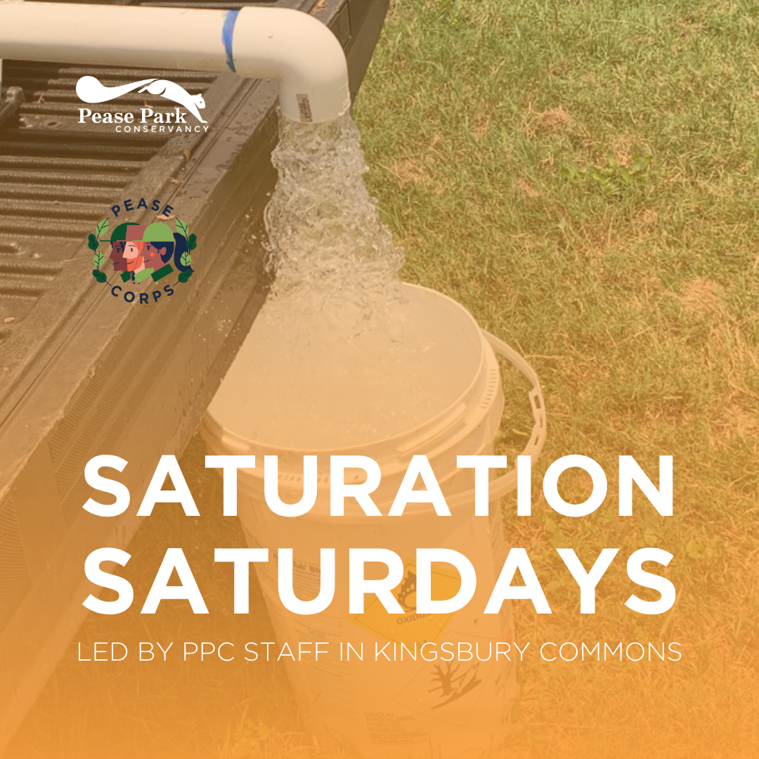 Saturation Saturday in Kingsbury Commons