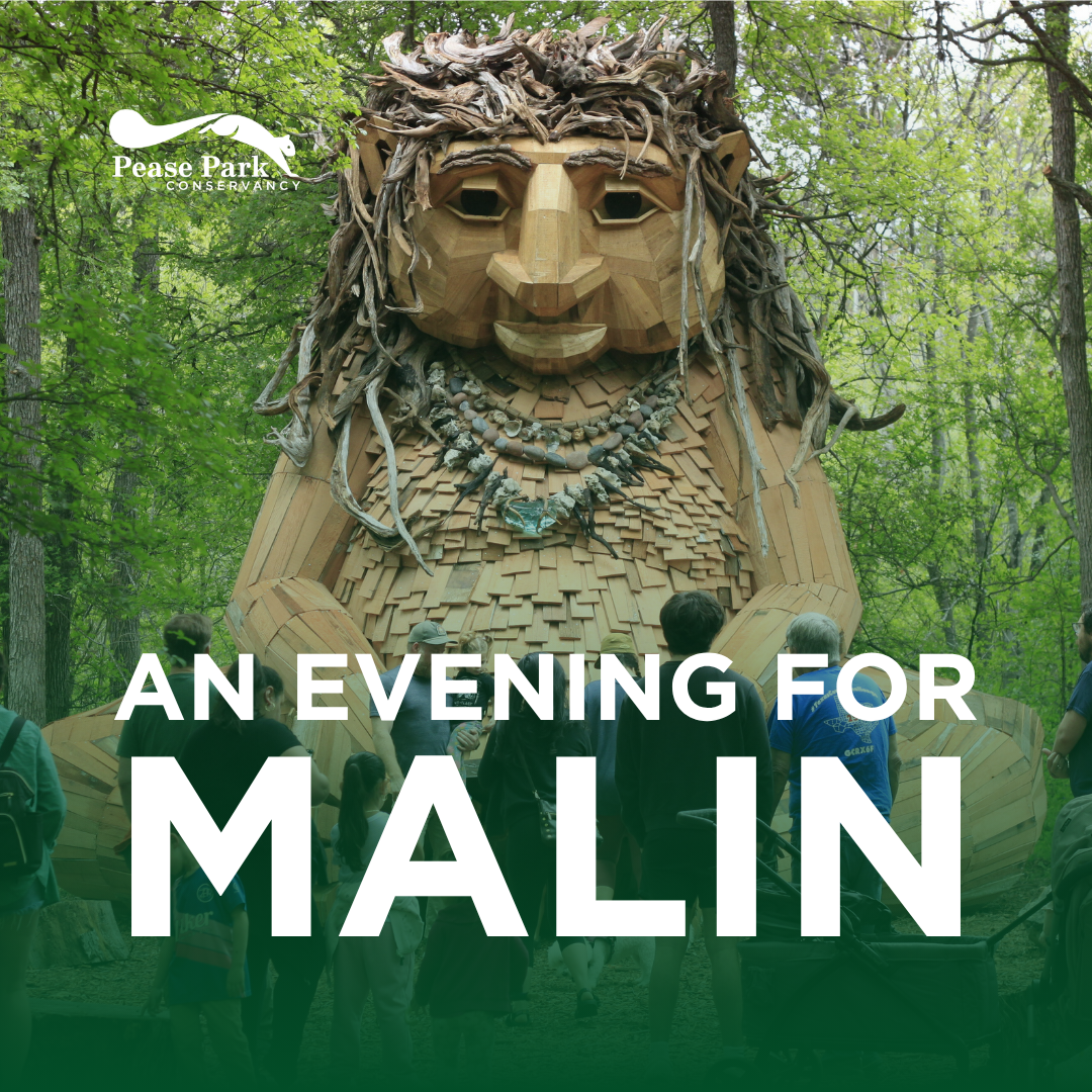 An Evening for Malin
