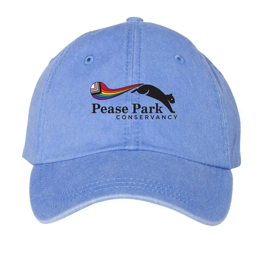 2026 Merch Pride Picnic Blue Dad Hat.jpeg