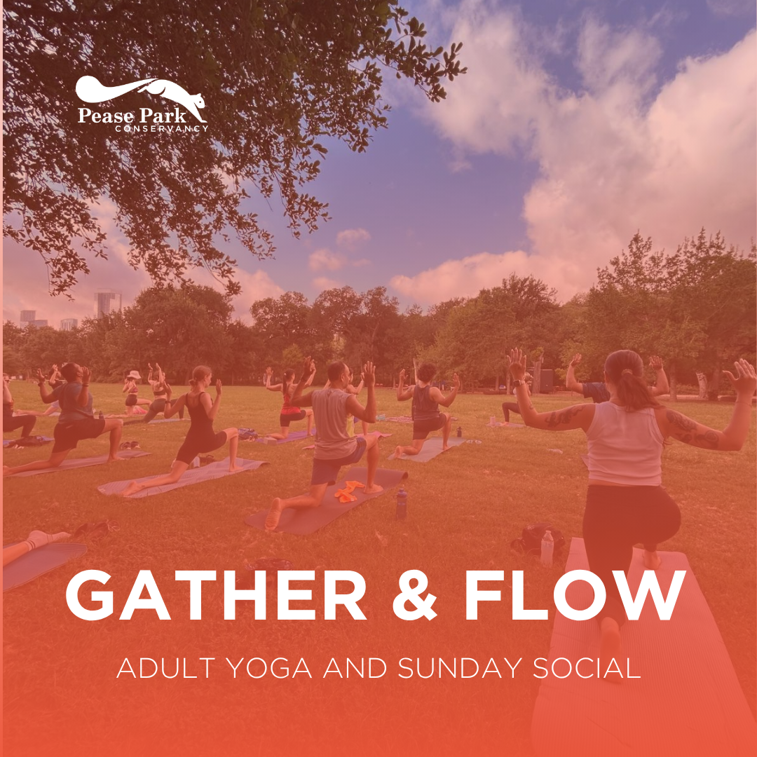Sunday Social: Yoga + Coffee at Pease Park