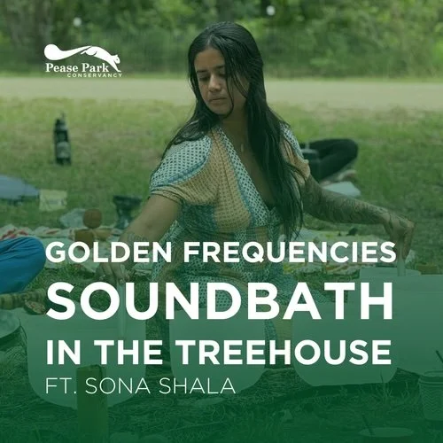Golden Frequencies Sound Bath in the Treehouse