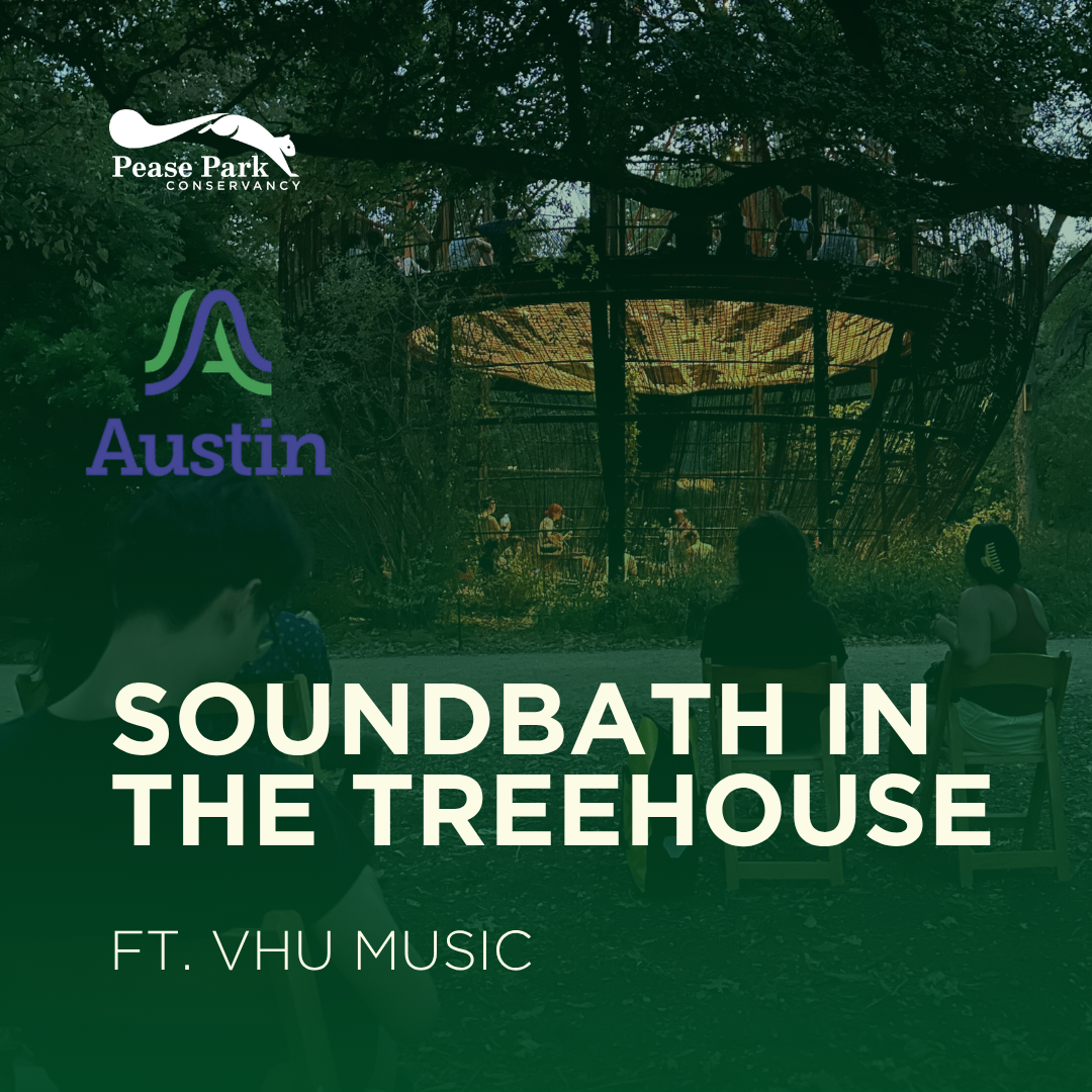 Sound Bath at Pease Park with VHU Music