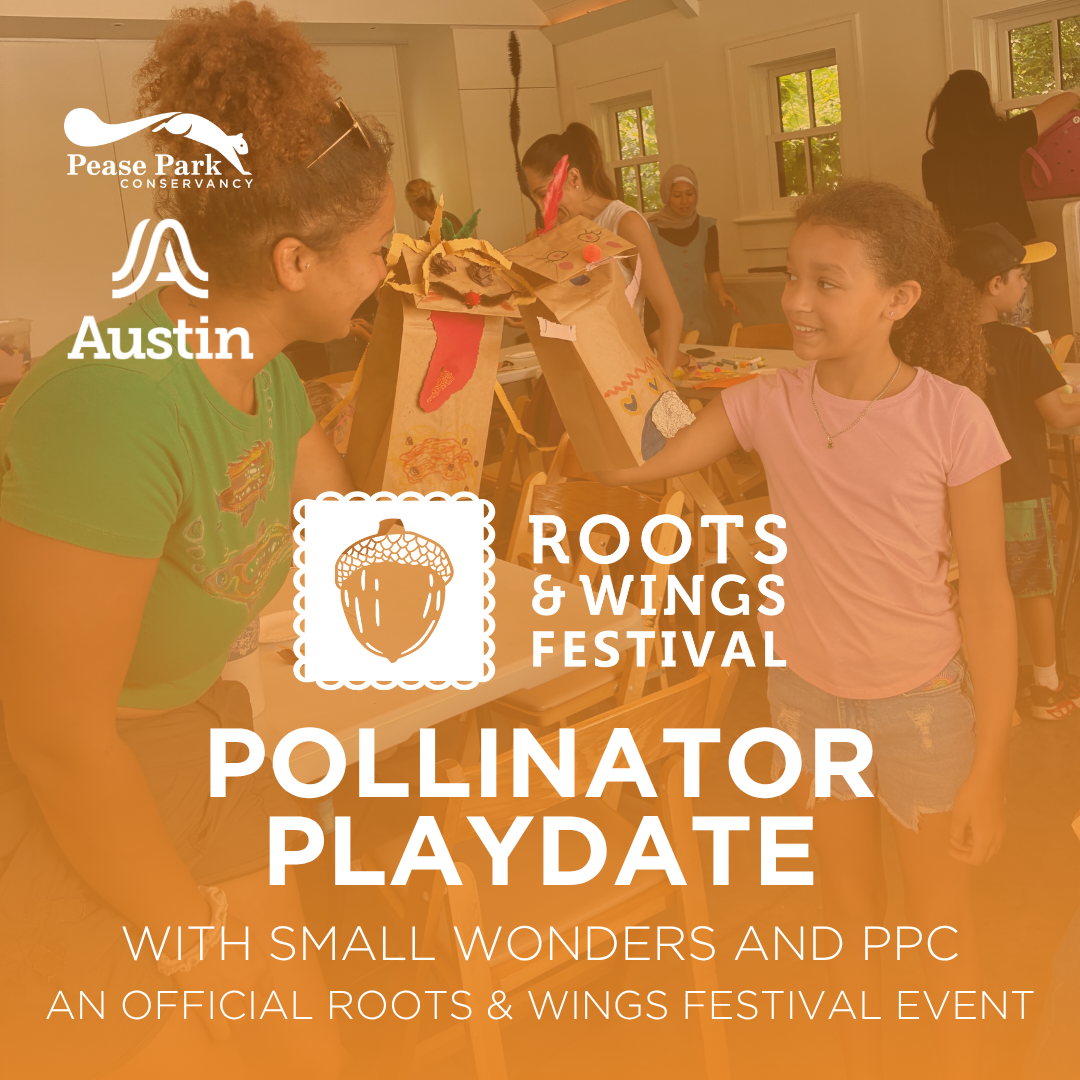 Pollinator Play Date: A Roots & Wings Festival Event