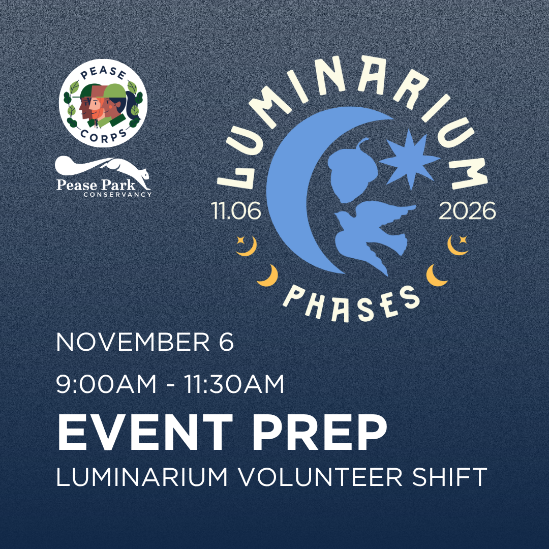 Luminarium Event Prep