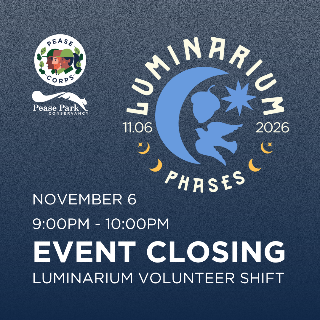 Luminarium Event Clean Up 