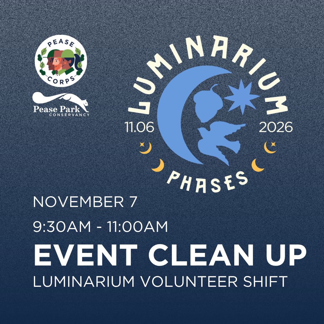Luminarium Event Clean-Up
