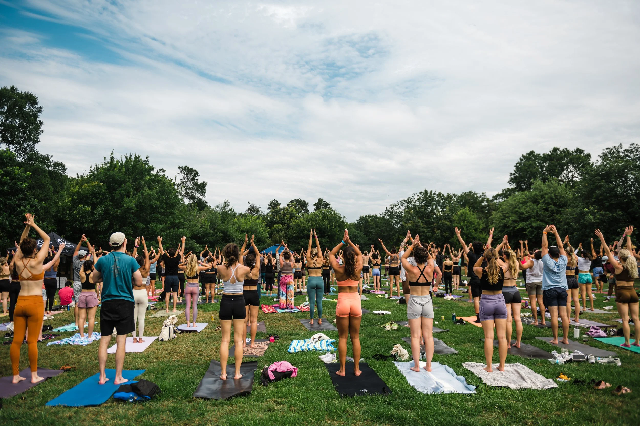 BLACK SWAN-© 2023 Kimberly Mufferi 2.jpg