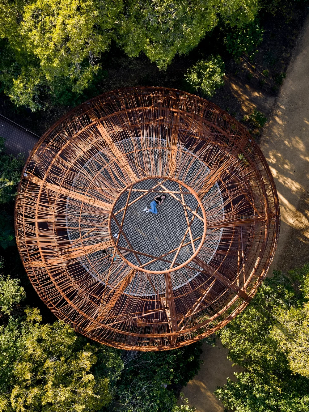 Art in the Park — Pease Park Conservancy