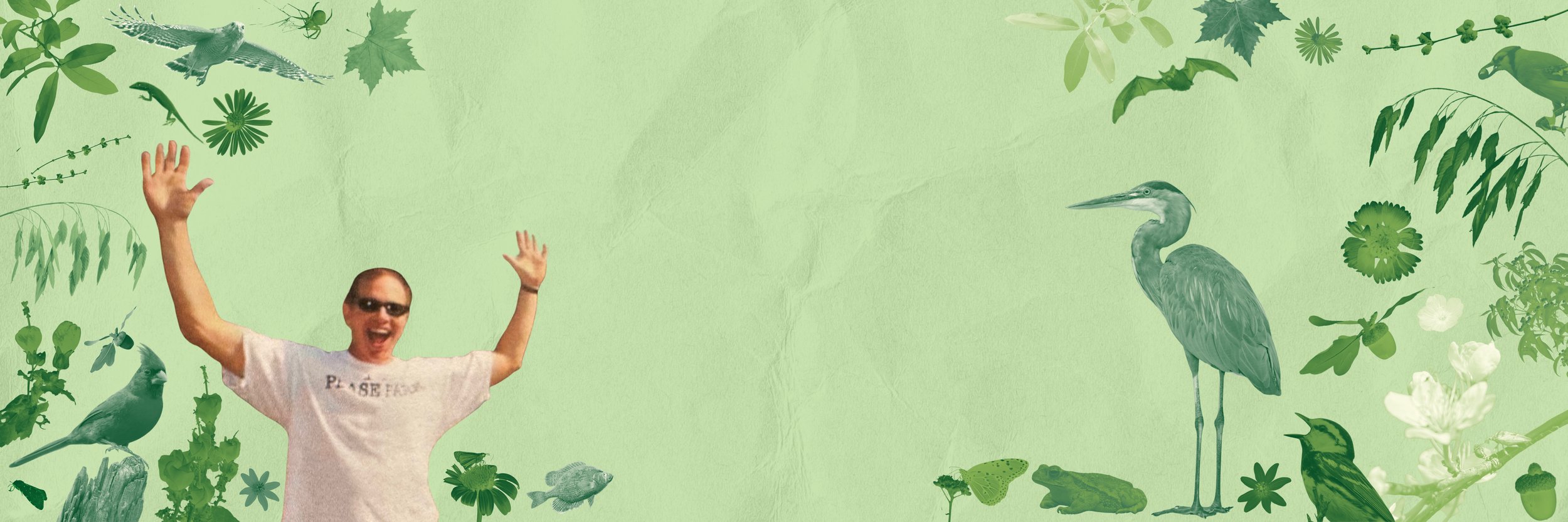 Banner Spring Fling (1).png