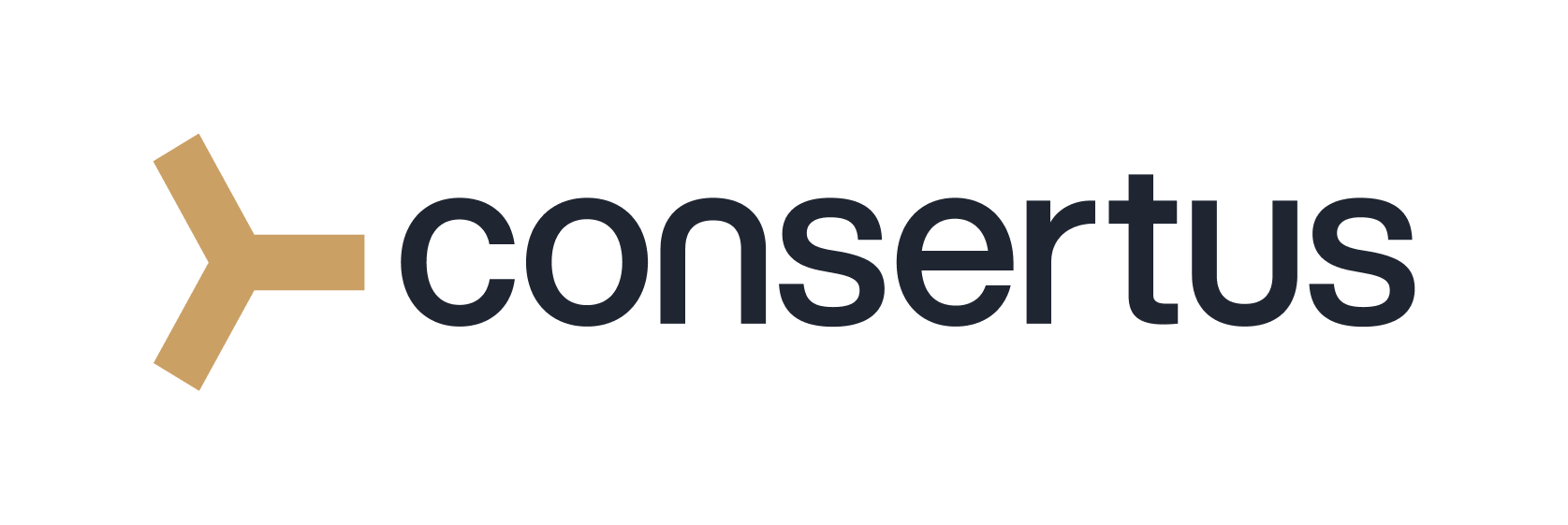consertus logo.png