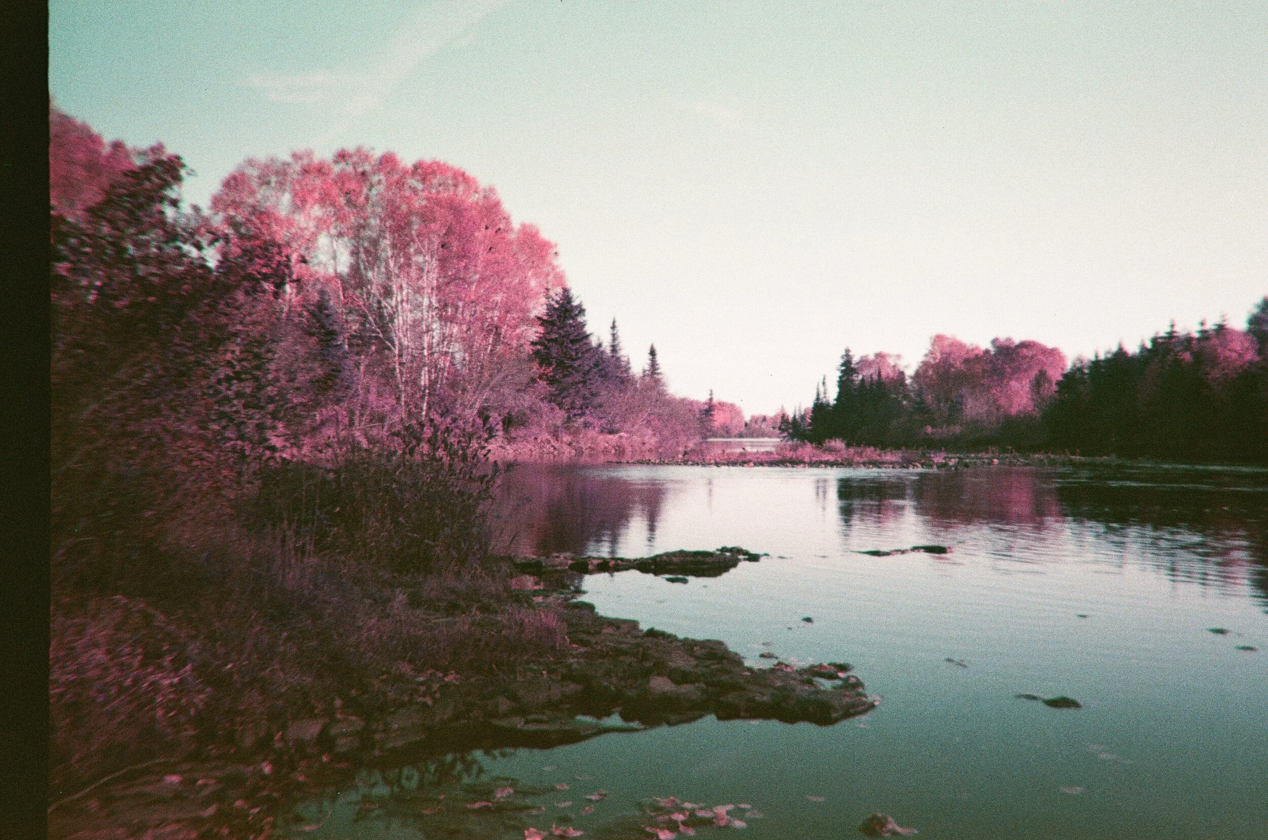 northern ontario 2019