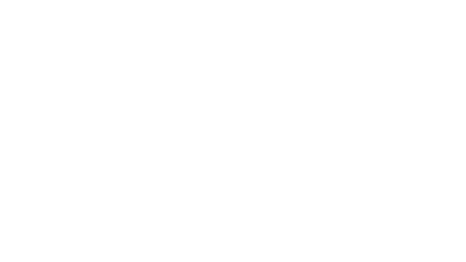 Pitkin Avenue BID