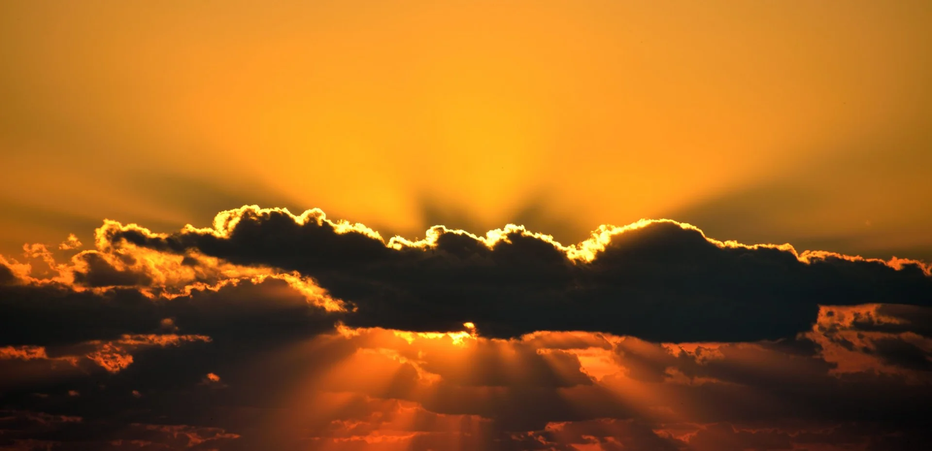 sunrise-on-the-beach-PaulBrennan.PDP.jpg