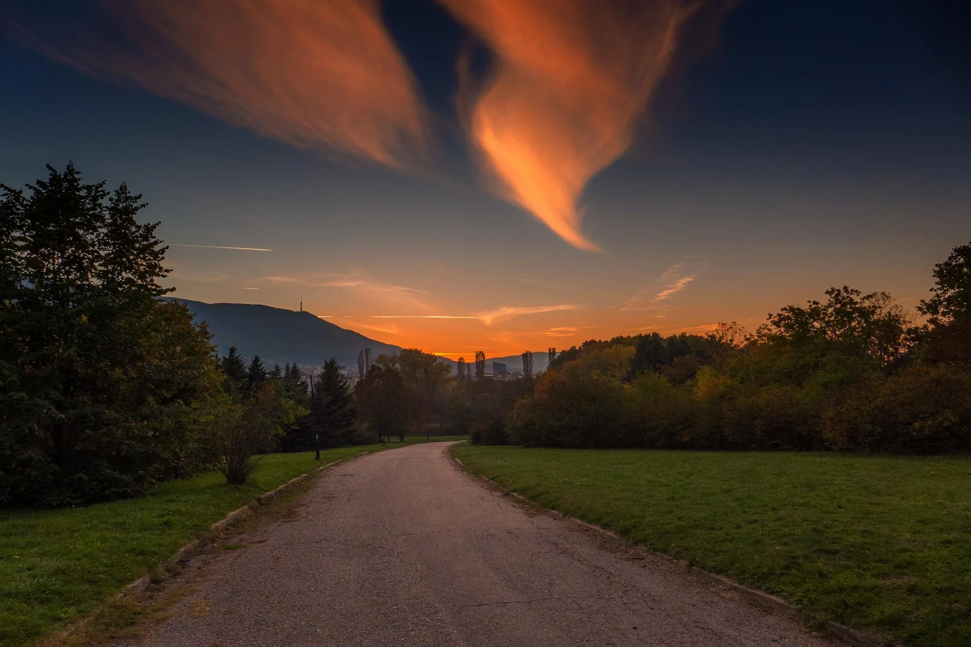 TheWayHome.Koan.Morguefile.jpg