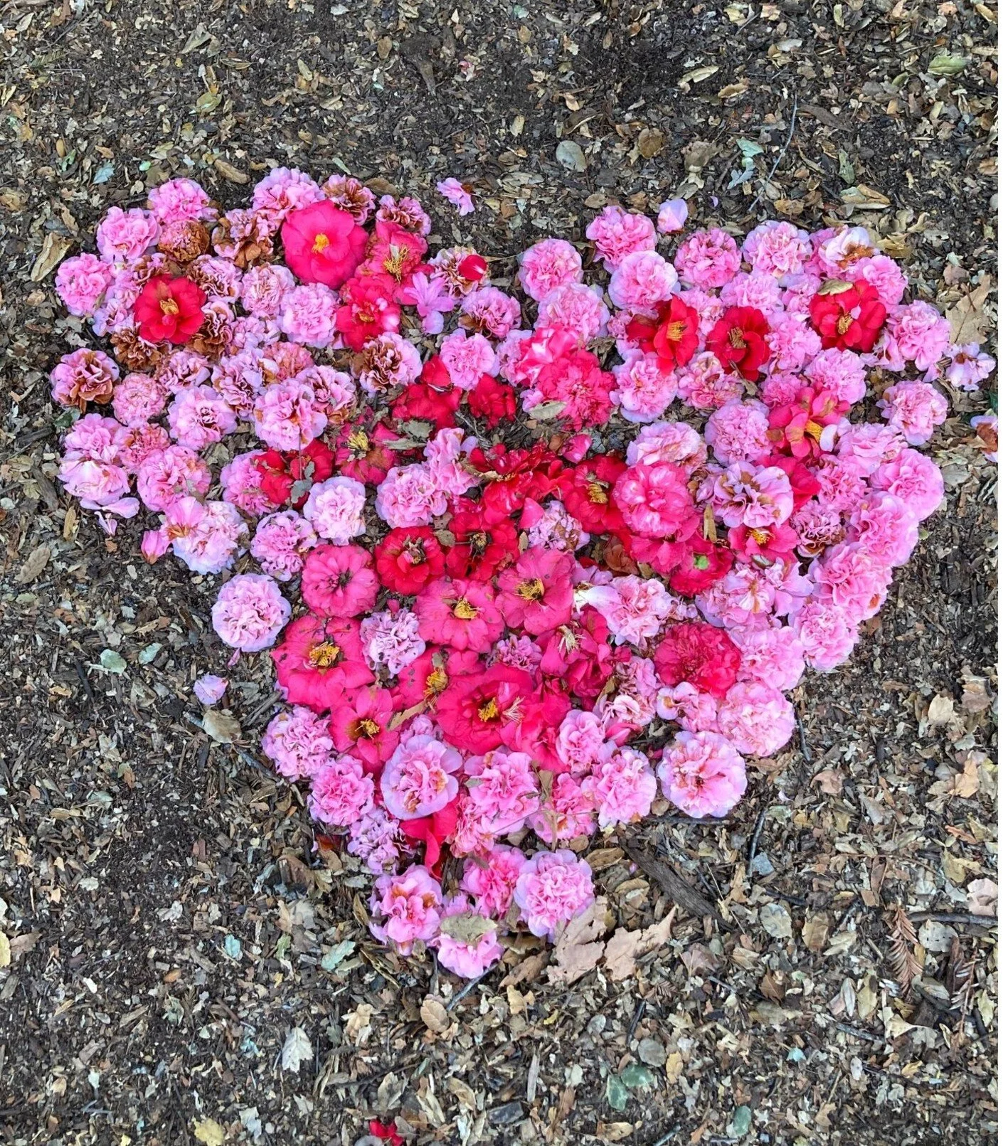 Kindness towards yourself is a self healing practice